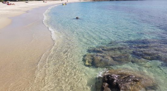 Bados Beach