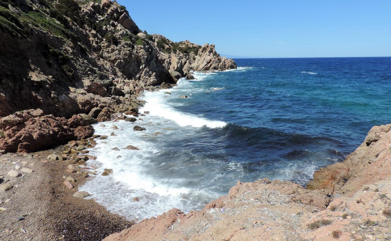 Photo of Cormorant beach with rocks cover surface