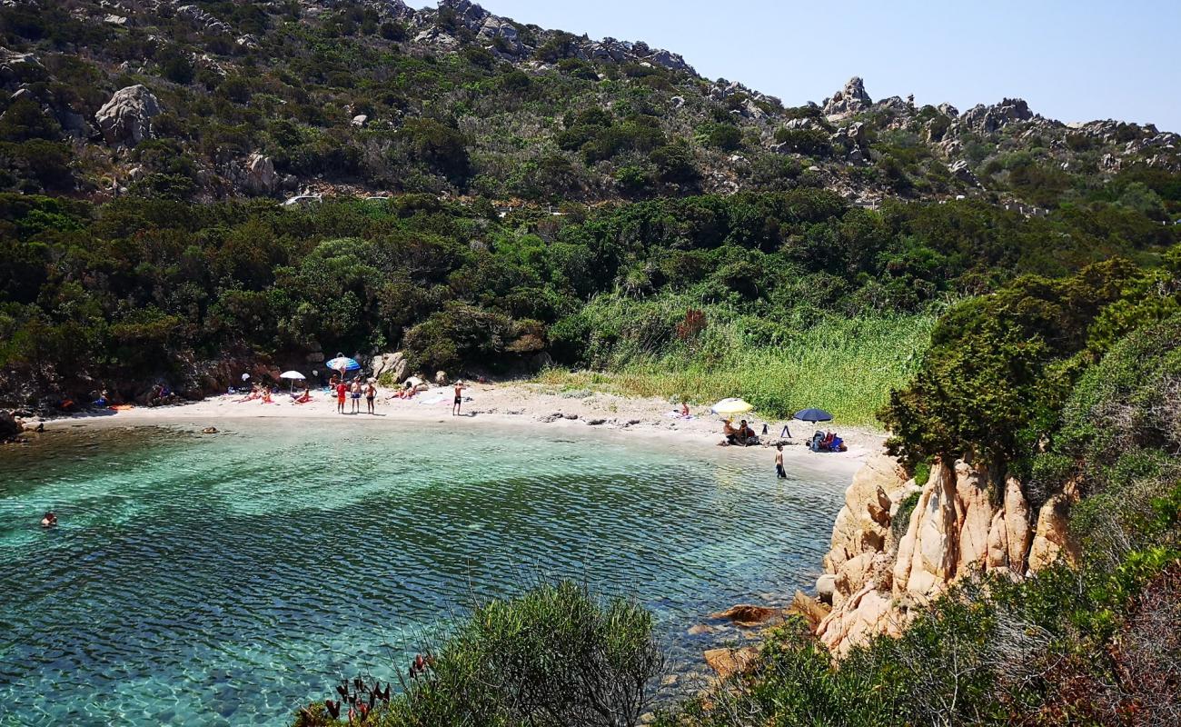 Photo of Cala Lunga beach with bright sand surface