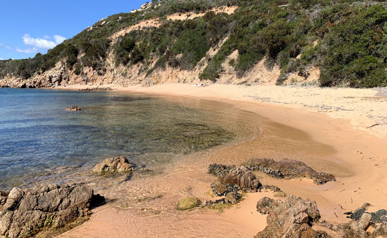 Photo of Costone beach with bright sand surface