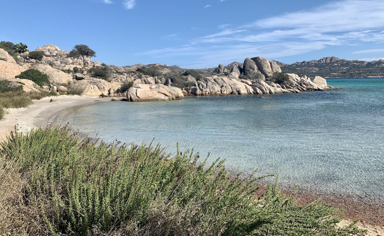 Photo of Sapling beach with bright sand surface