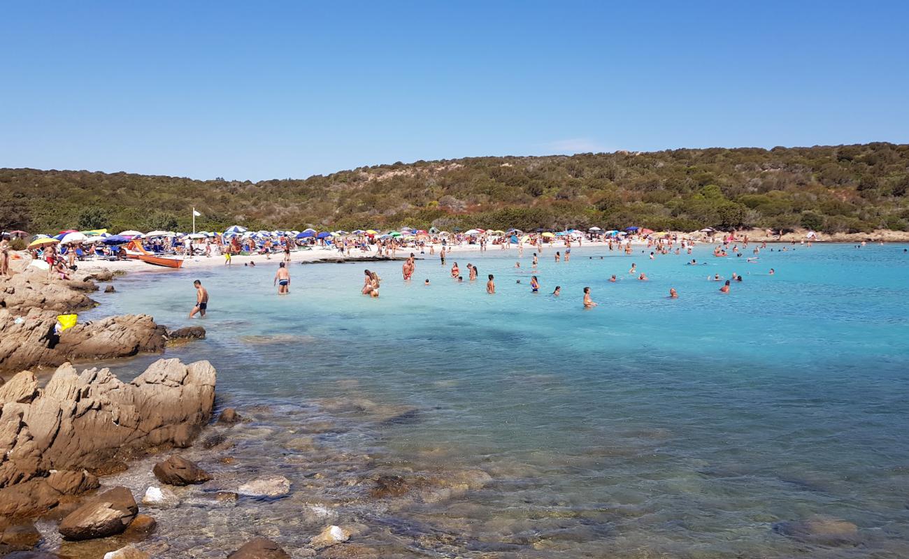 Photo of Wreck Beach with white fine sand surface