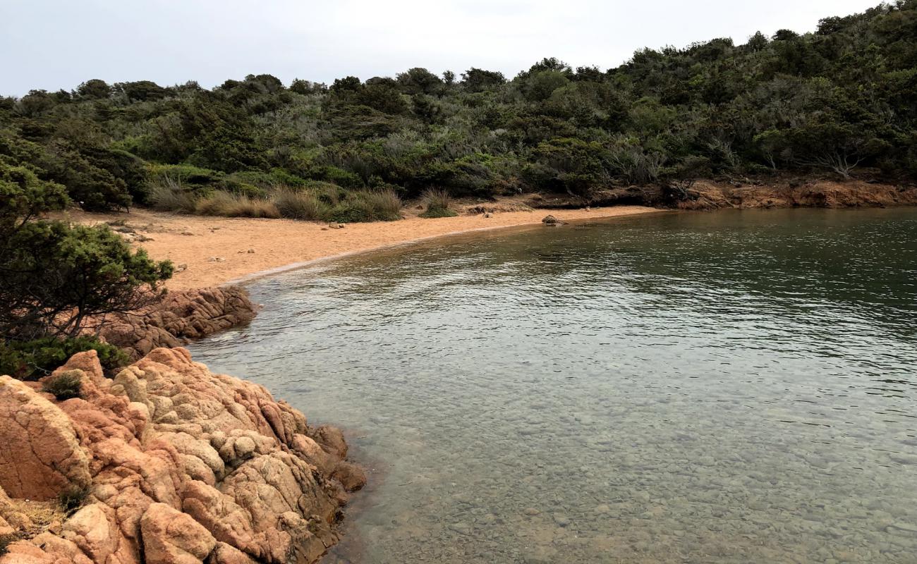 Photo of Porto Palma with bright sand surface