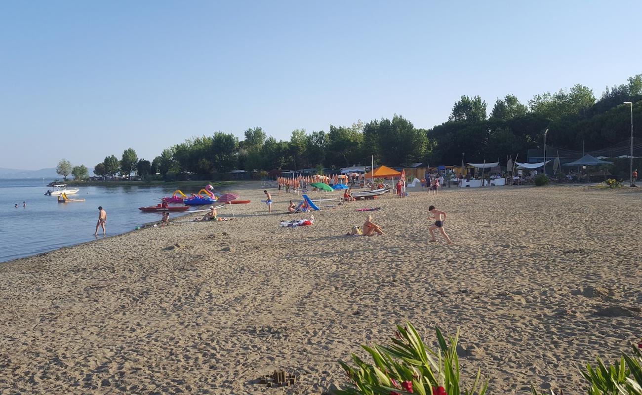 Photo of Tuoro Beach with bright sand surface