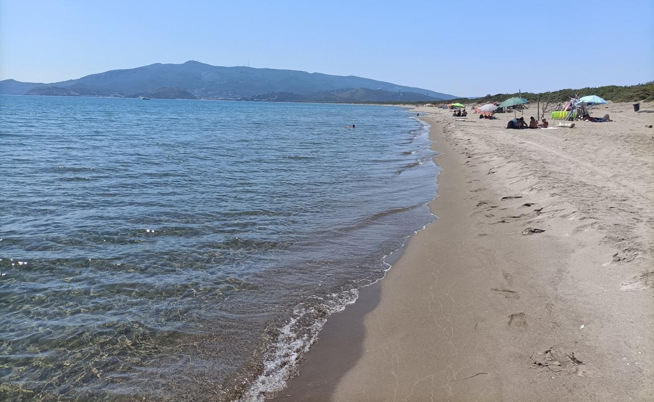 Photo of Feniglia Beach with bright sand surface