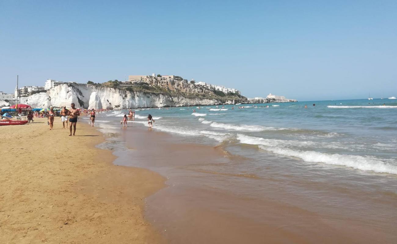 Photo of Pizzomunno Beach with bright sand surface