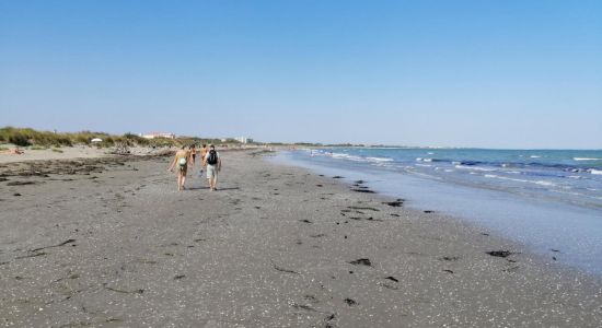 Alberoni Beach