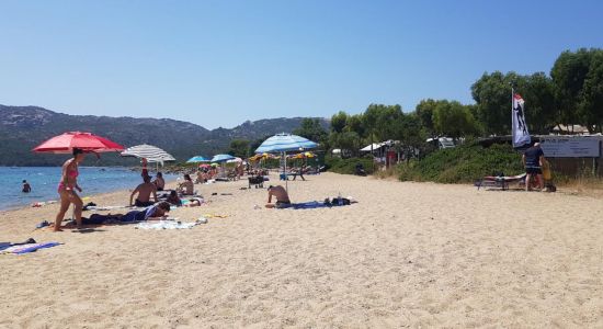 Spiaggia Degli Svedesi