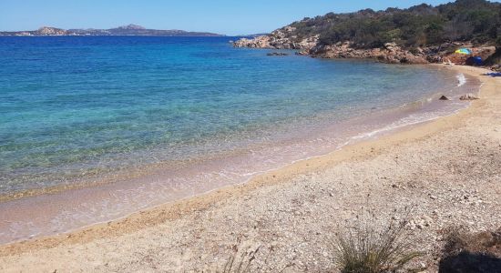 Spiaggia dei Corbezzoli