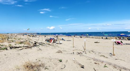 Spiaggia di Ca Roman