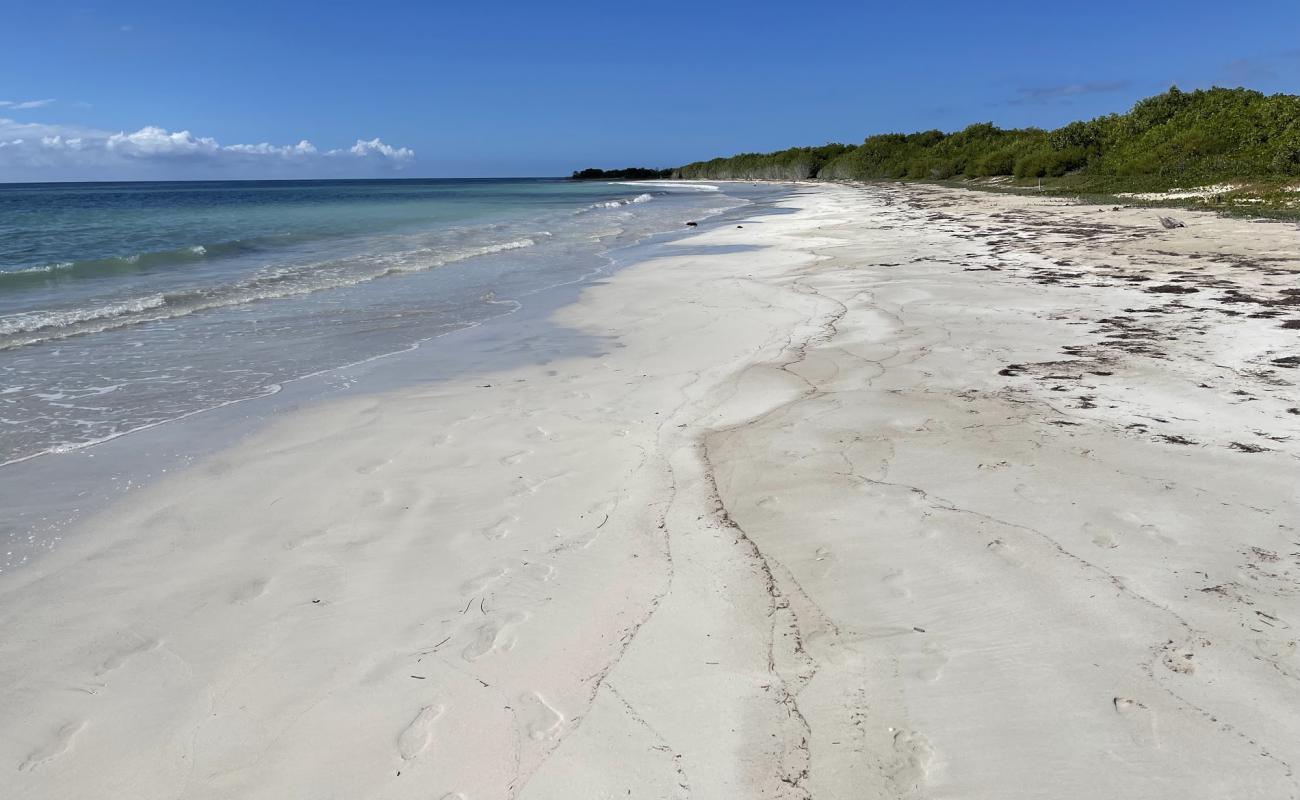 Photo of Jackson Bay Beach with bright fine sand surface