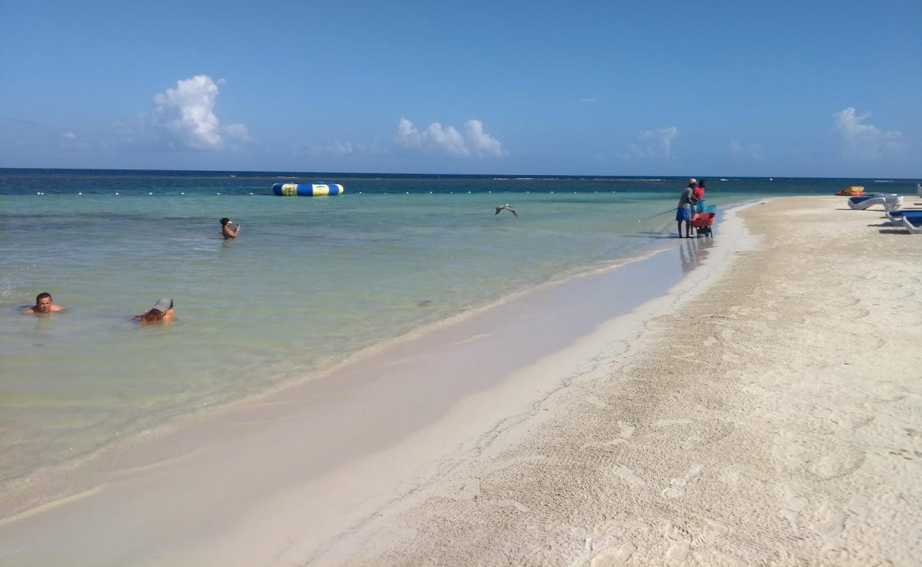 Photo of Tropical Bliss with bright fine sand surface