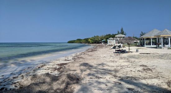 Burwood beach