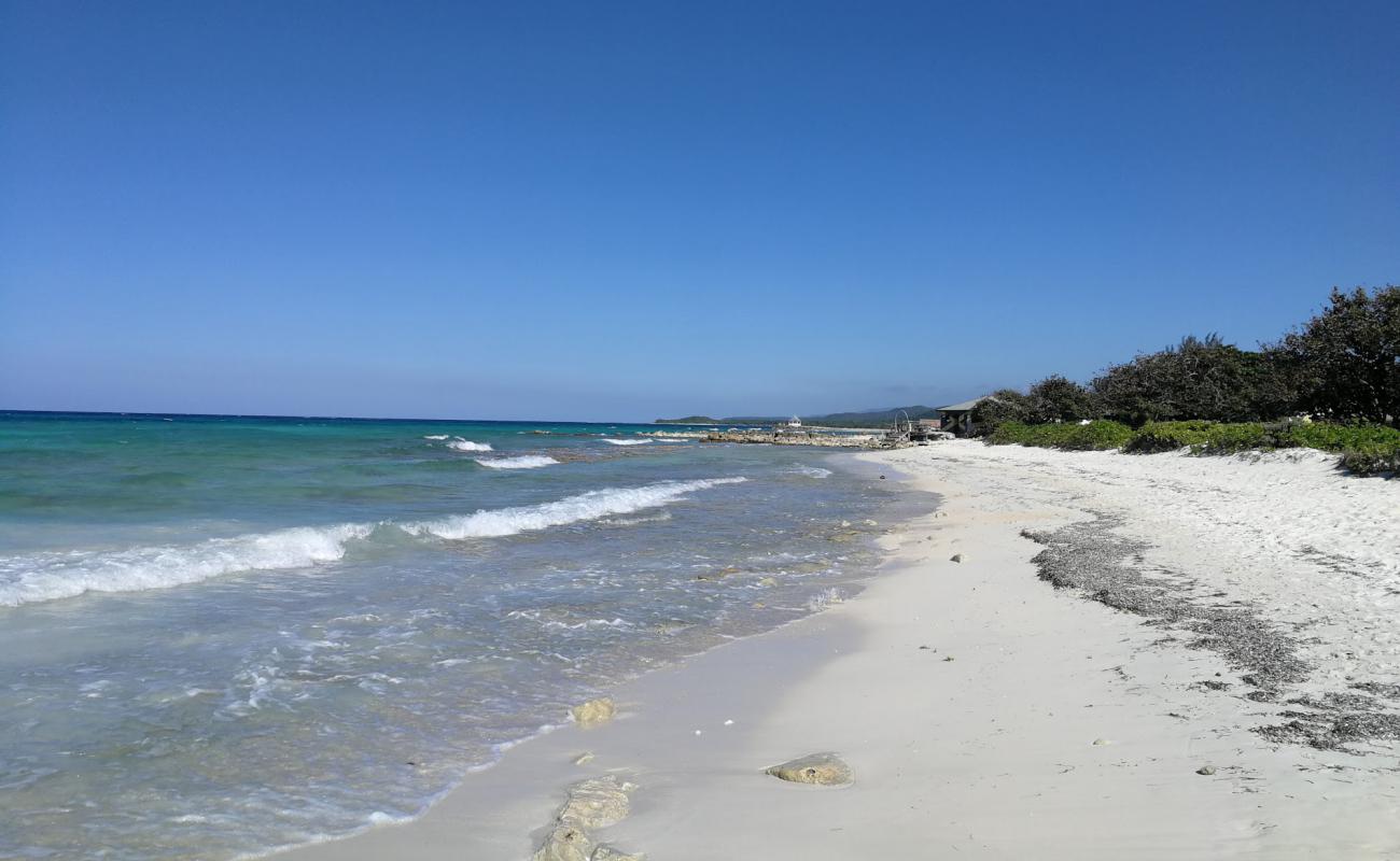 Photo of Silver Sands beach with bright sand surface