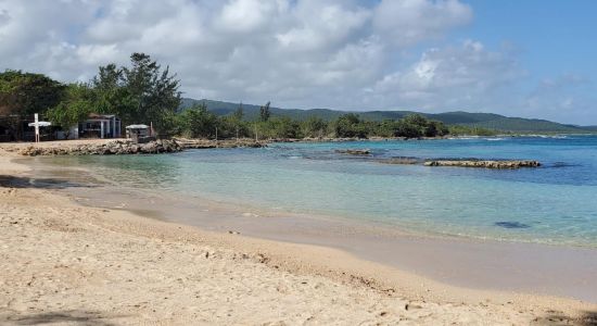 Bamboo Beach