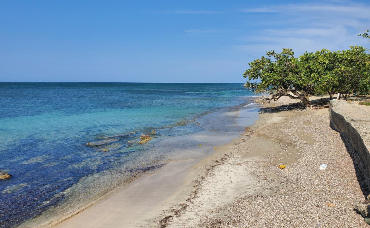 Photo of Saunders beach with bright sand surface