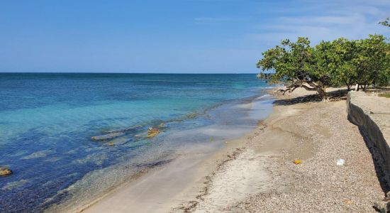 Saunders beach