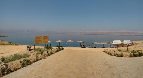 Dead Sea Beach