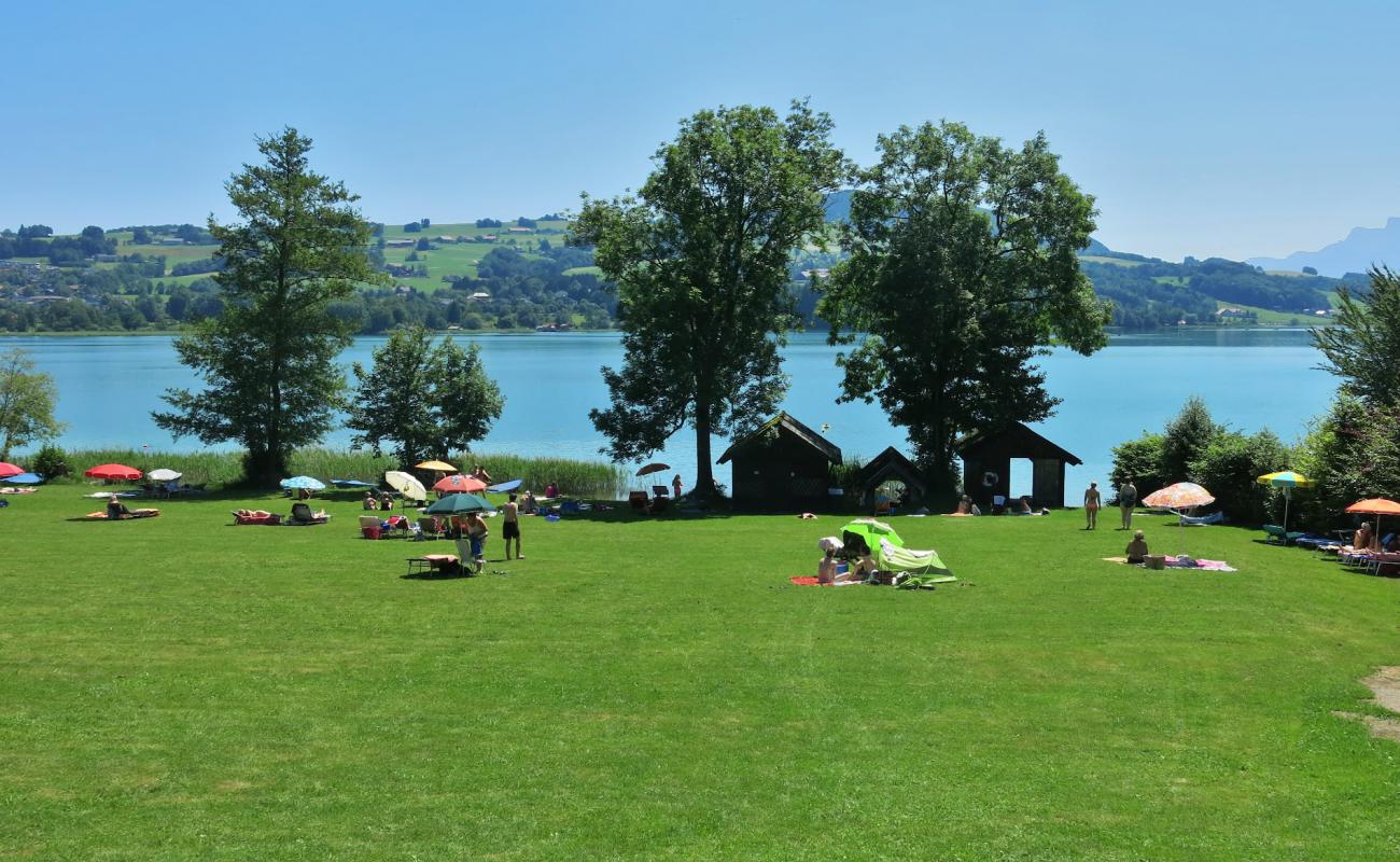 Photo of Badeplatz Bliem with grass surface