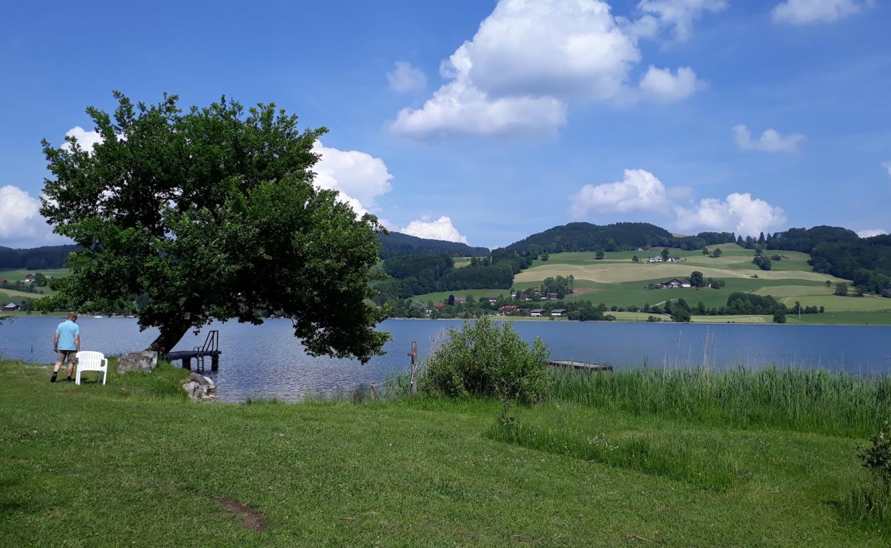 Photo of Campingplatz Fischhof with grass surface