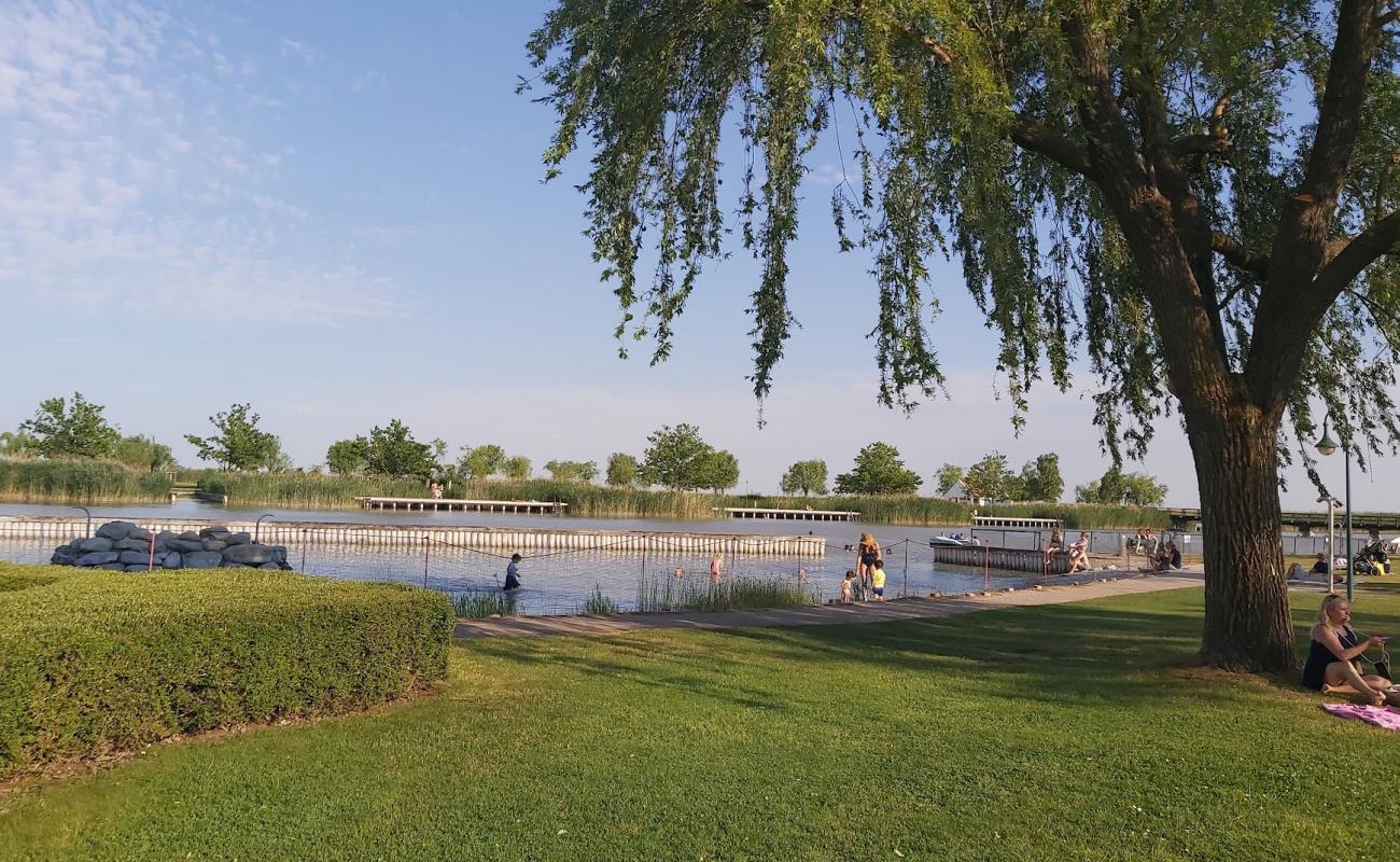 Photo of Naturbad Morbisch with concrete cover surface