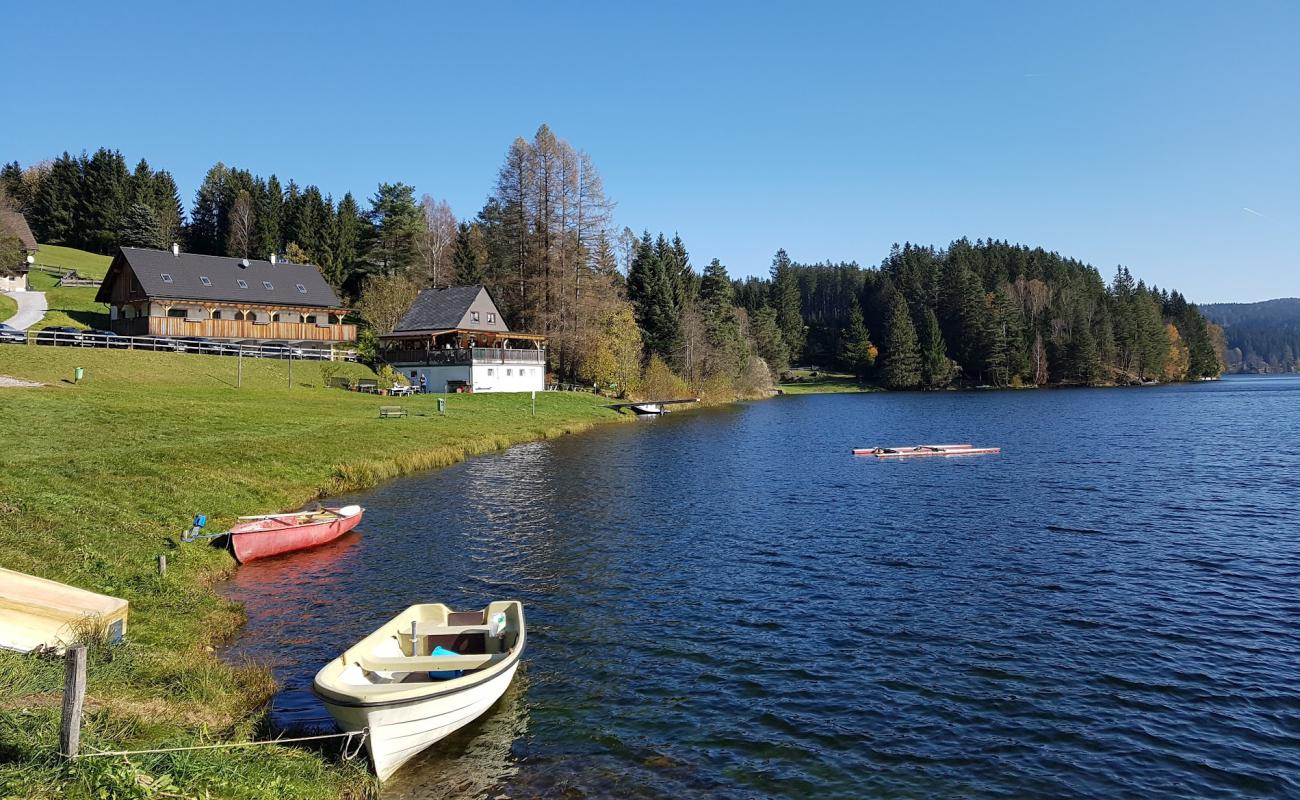 Photo of Seebad Packer Stausee with grass surface