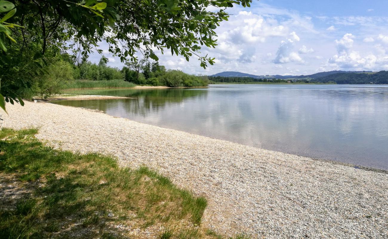 Photo of Naturstrandbad Zell am Wallersee with grass surface