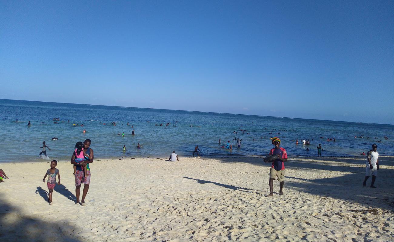 Photo of Shelly Beach with gray fine sand surface