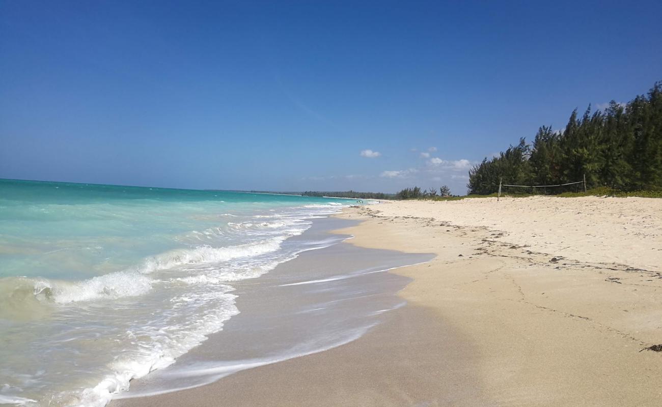 Photo of Maweni Beach with bright sand surface