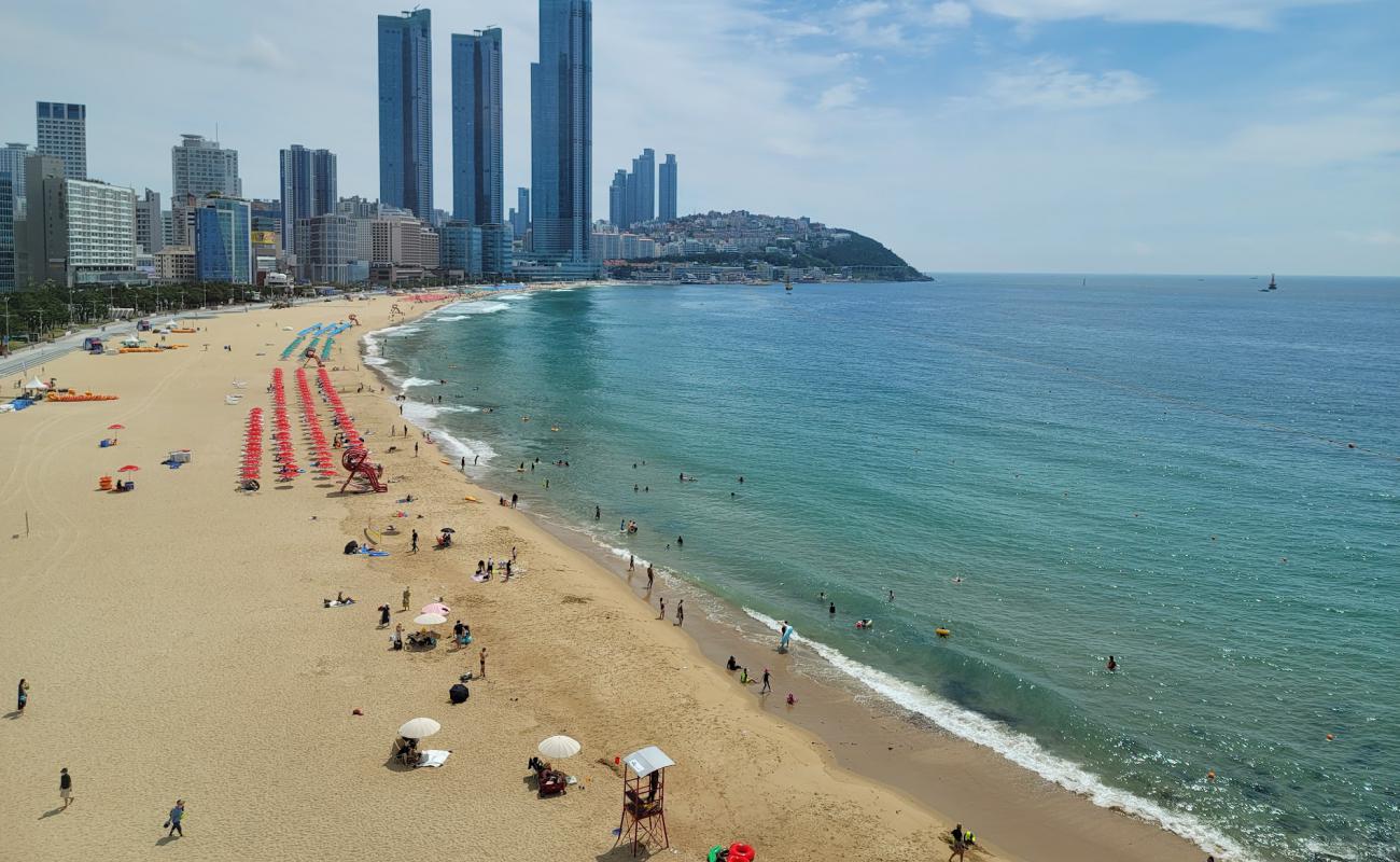 Photo of Haeundae Beach with bright fine sand surface