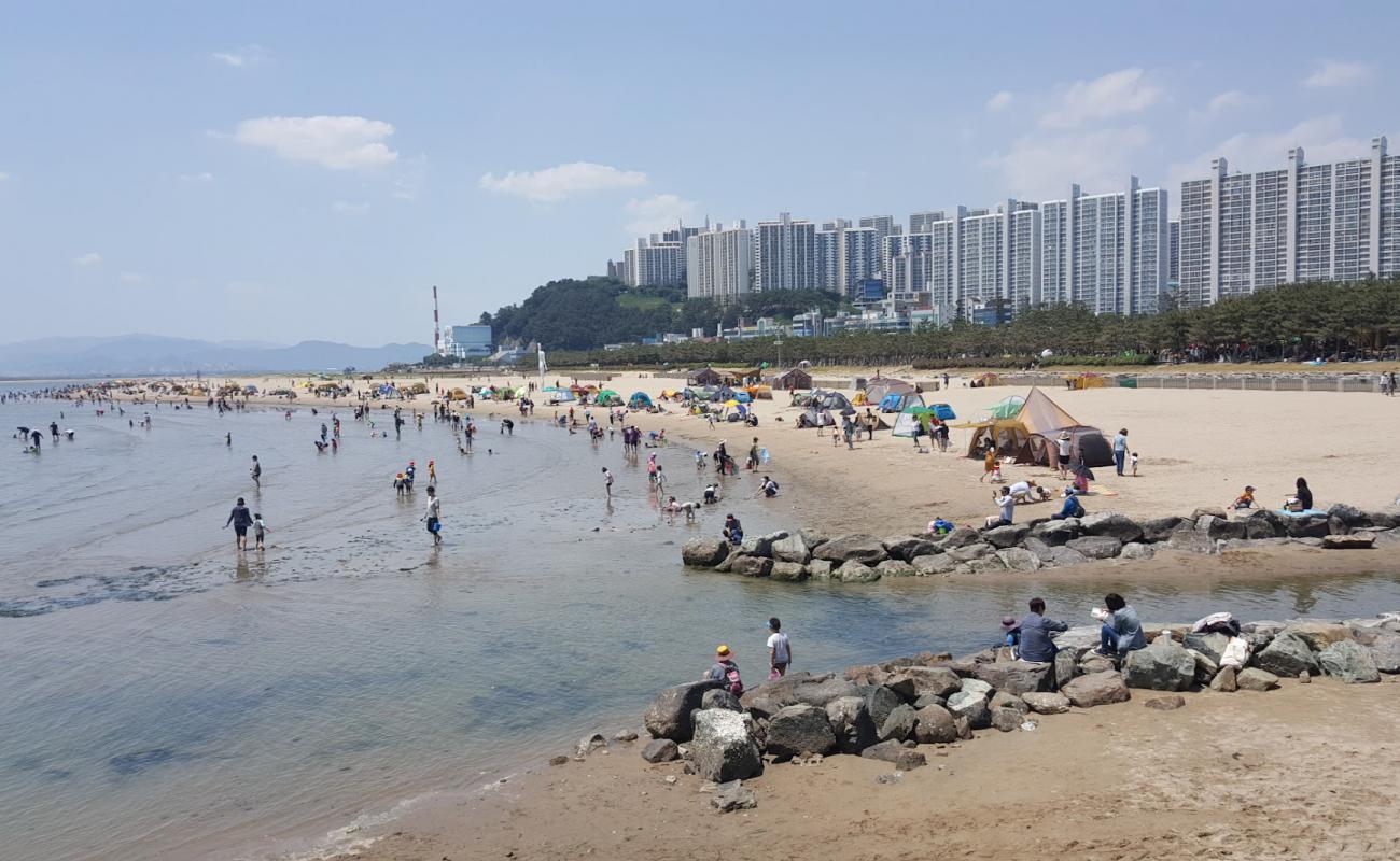 Photo of Dadaepo Beach with bright sand surface