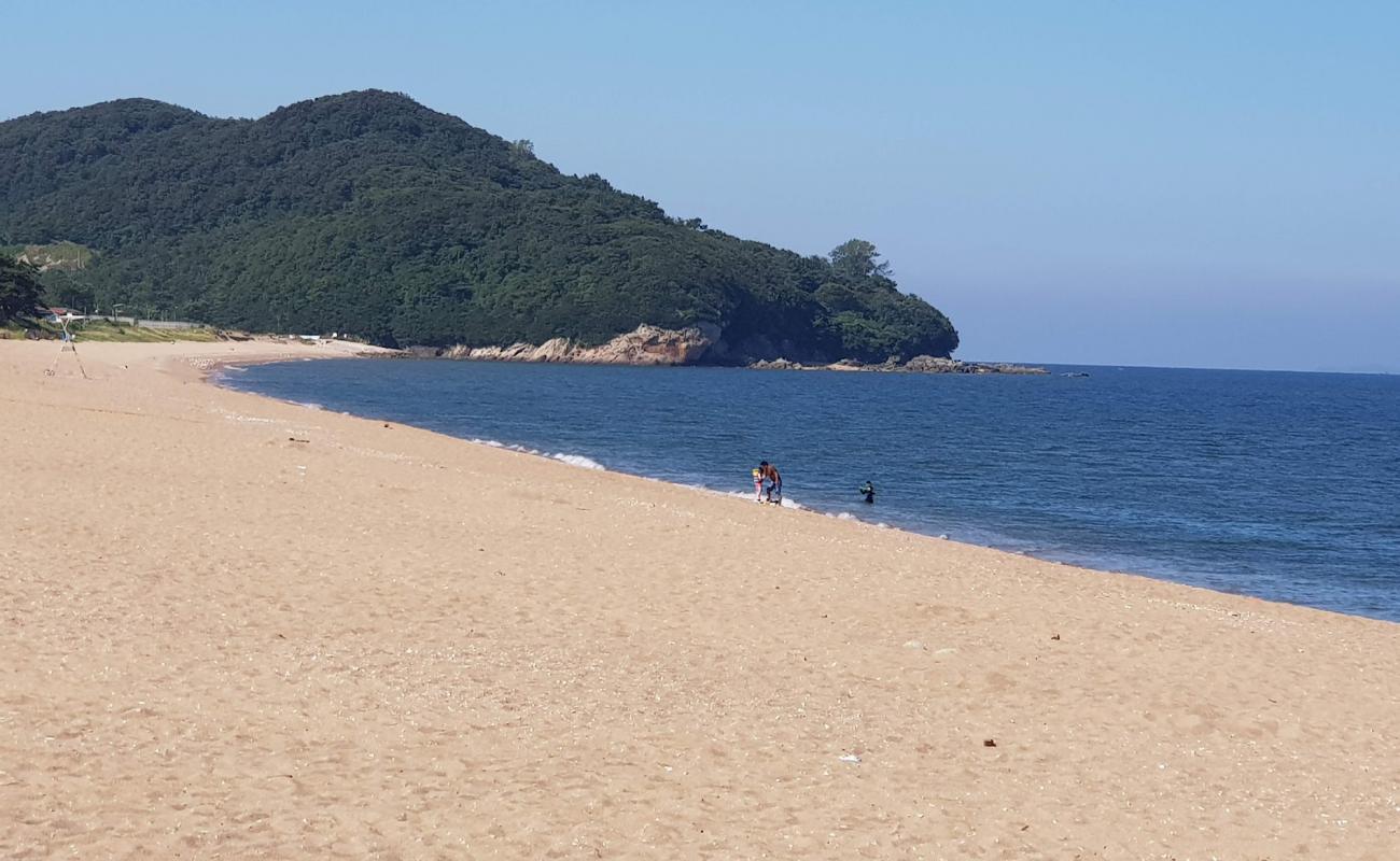 Photo of Gosapo Beach with bright sand surface