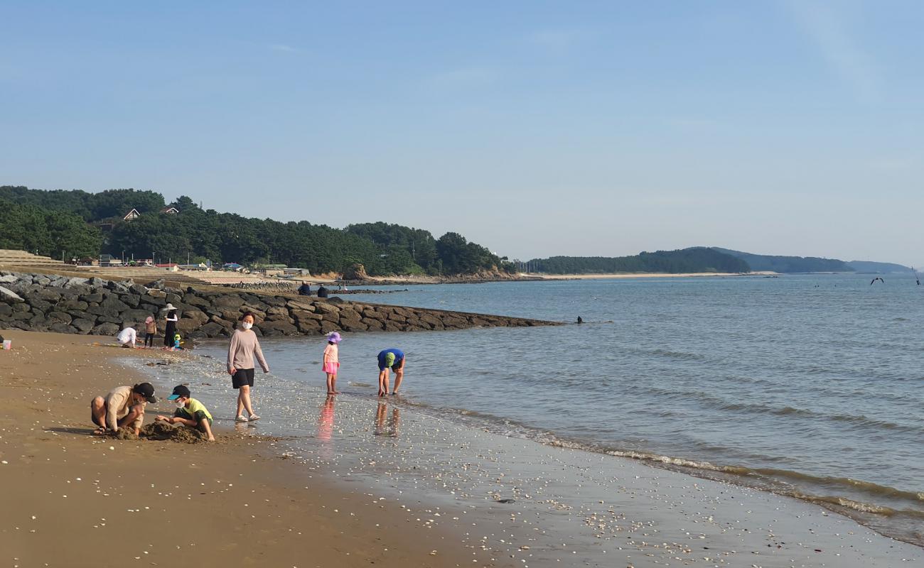 Photo of Biin Beach with bright sand surface