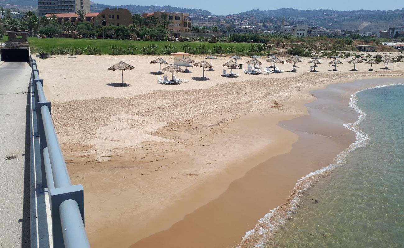 Photo of Golden Tulip with bright sand surface