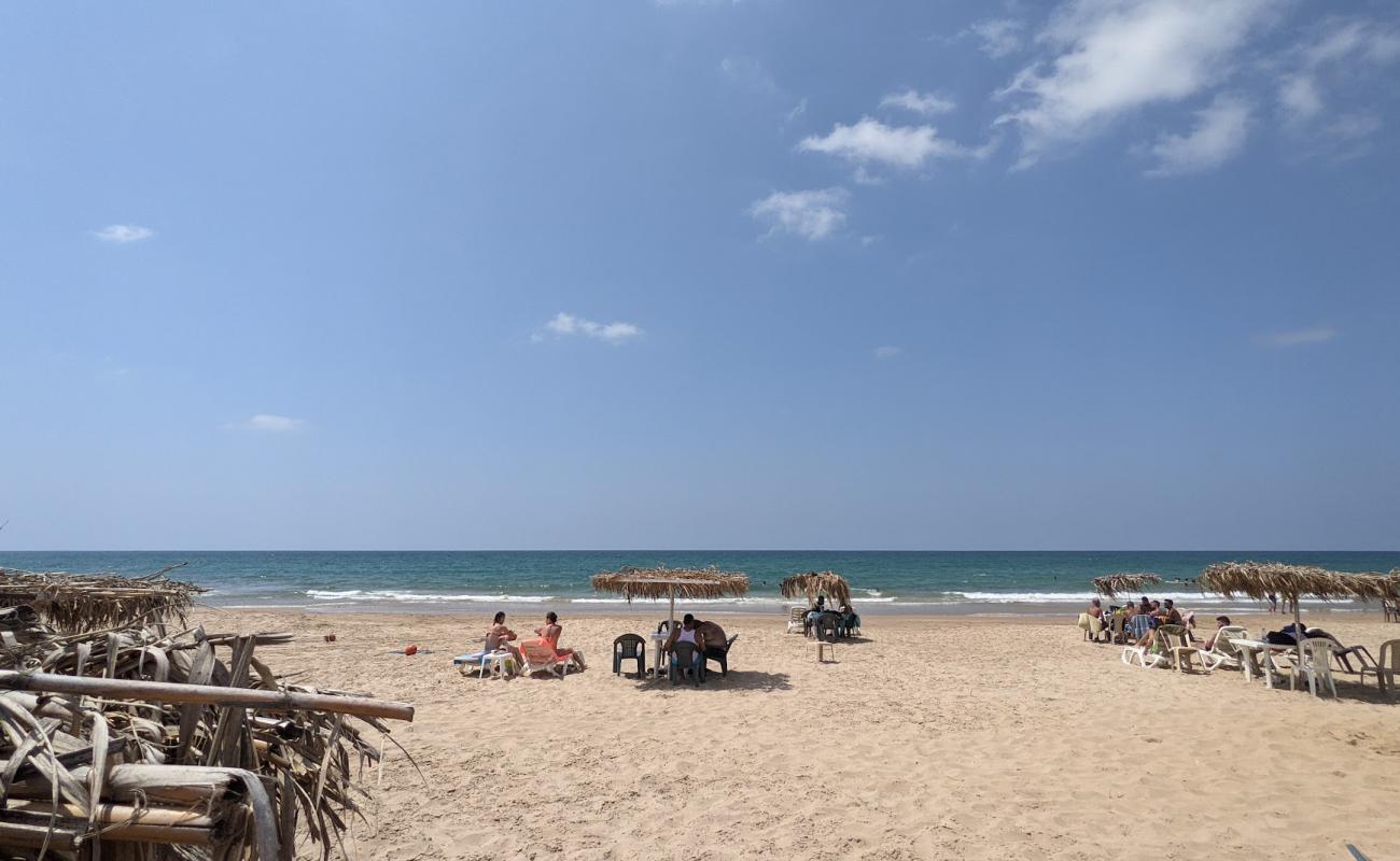 Photo of Wadi El Zayni with bright sand surface