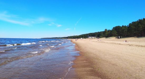 Saulkrasti beach II