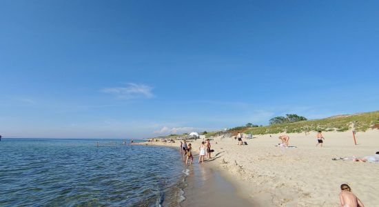 Skruzdynas Beach