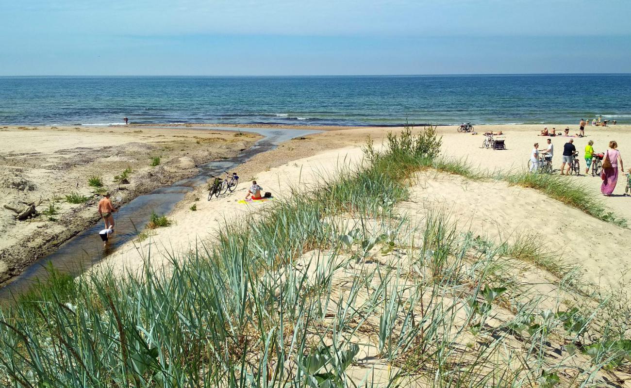 Photo of Edge beach with bright sand surface