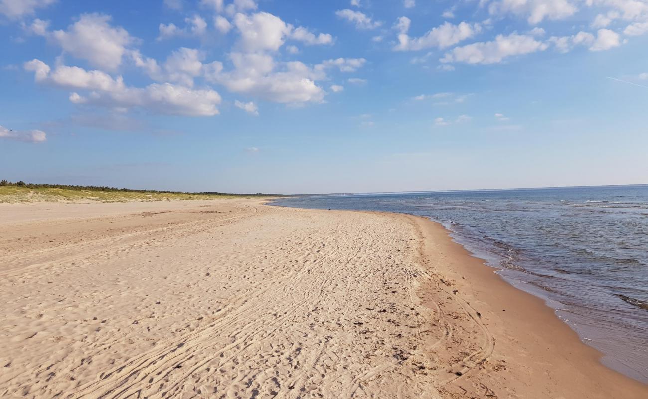 Photo of Sventosios naturist beach with bright fine sand surface