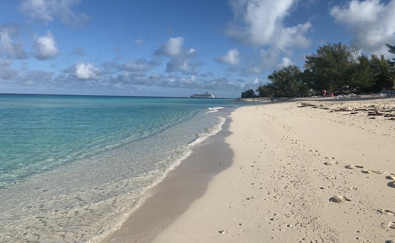 Photo of Radio beach with bright fine sand surface