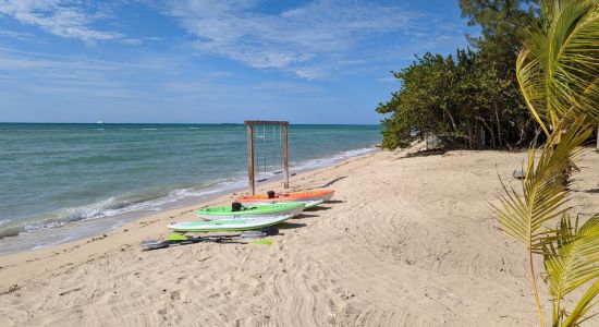 Adelaide beach