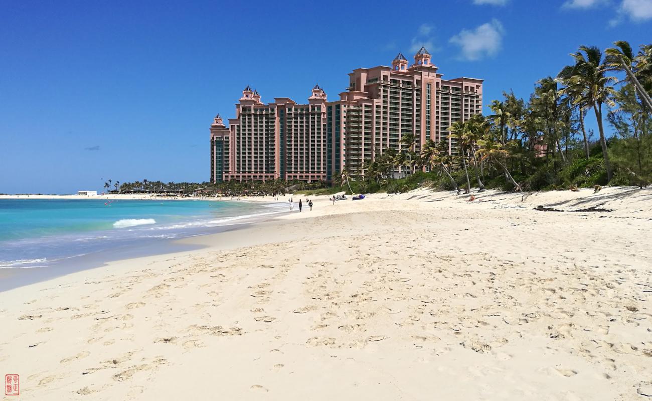 Photo of Paradise beach with bright fine sand surface