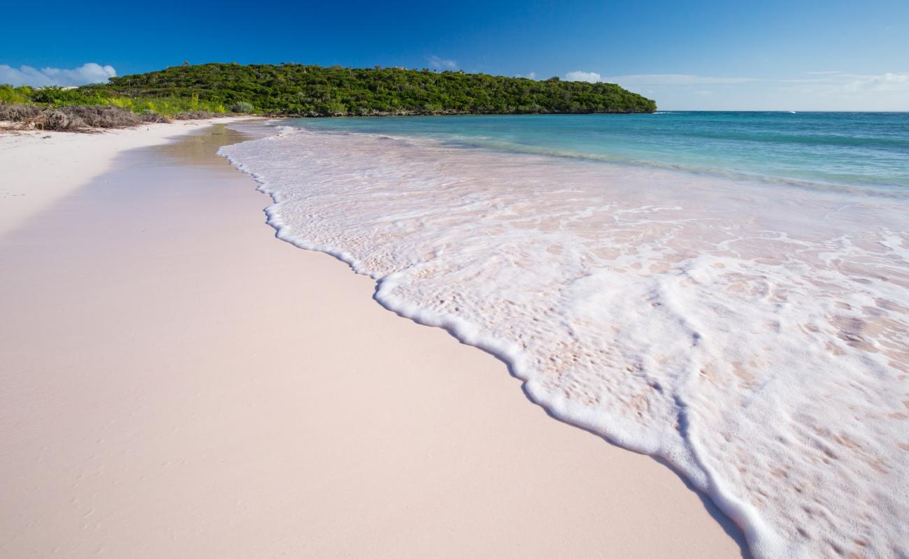 Photo of Cotton Bay beach with bright fine sand surface