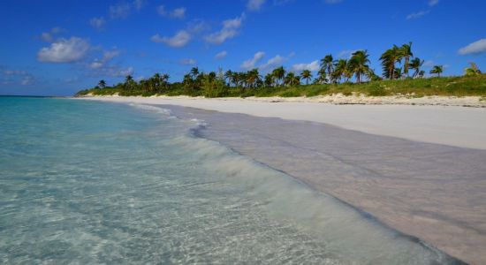 Winding Bay beach