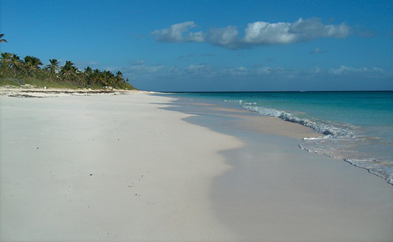 Photo of Double Bay beach with bright fine sand surface