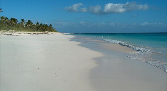 Double Bay beach