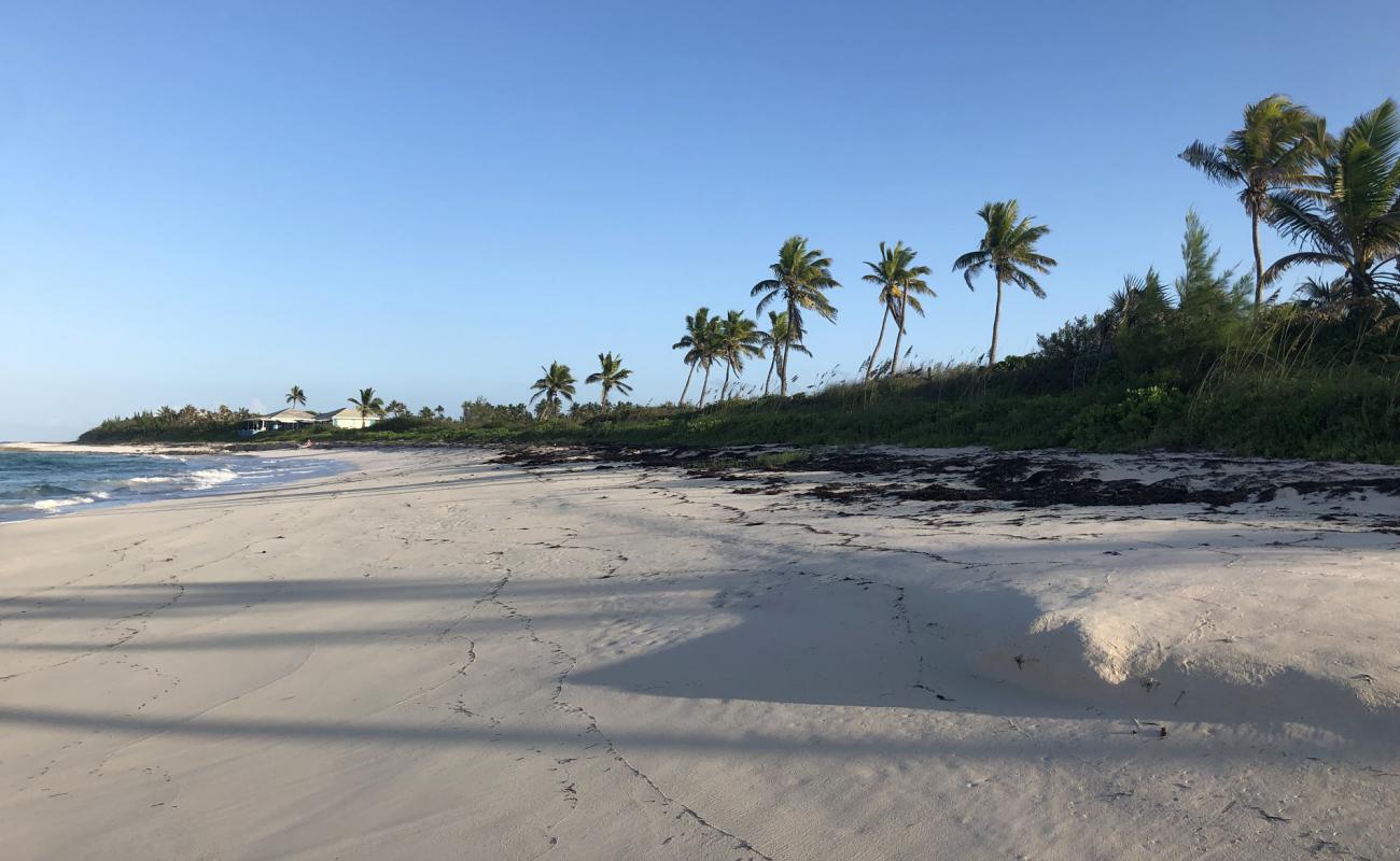 Photo of Double Bay beach II with bright sand surface