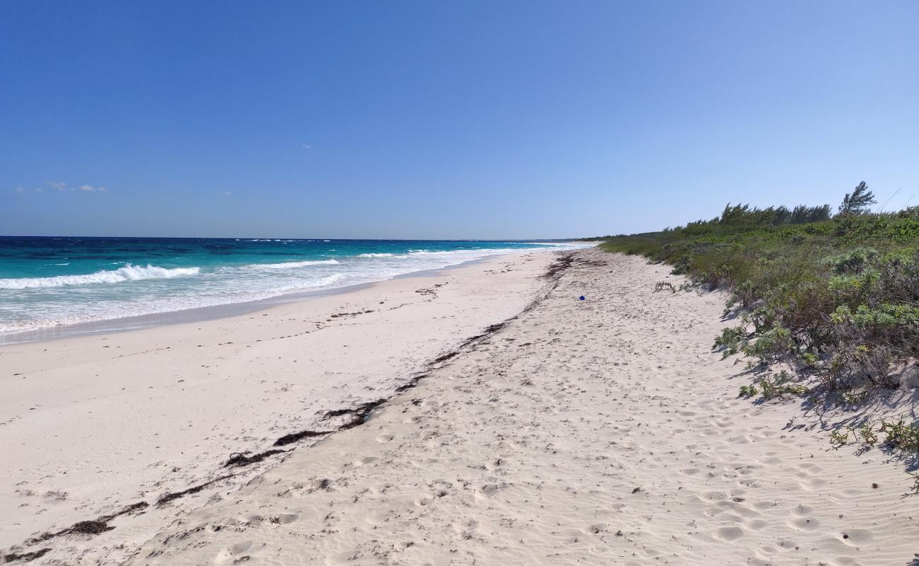 Photo of Airport beach with bright sand surface