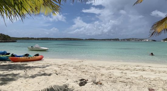 Stingray beach