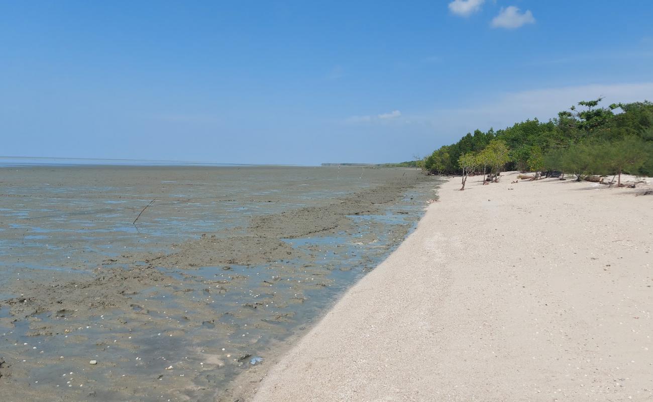 Photo of Sungai Kajang Beach with bright shell sand surface